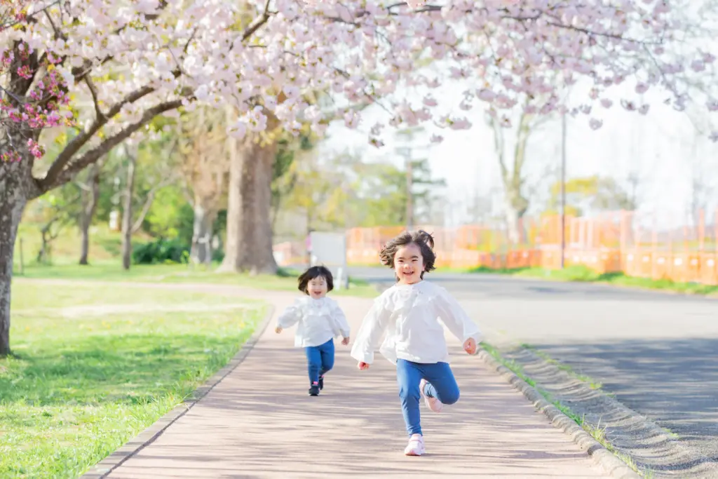 桜の下で楽しく遊ぶ姉妹写真